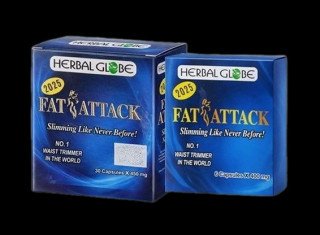 فات أتاك للتخسيس FAT ATTACK