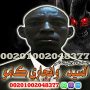 shykh-rohany-lglb-alhbyb-alsahr-alafryky-oangary-kamo-small-0
