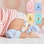 shrab-rkbh-zhf-small-2