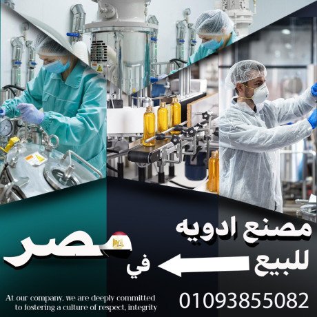 msnaa-adoy-llbyaa-fy-msr-yaaml-bkfay-aaaly-00201093855082-big-0