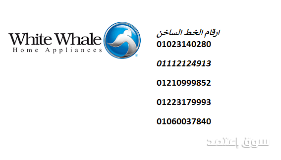 khdmat-thlag-oayt-oyl-ma-baad-albyaa-balaabor-01010916814-big-0