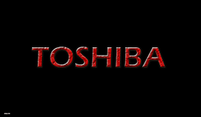 syan-dyb-fryzr-toshyba-fysl-01112124913-big-0