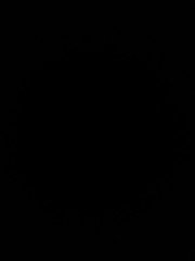 مصنع نشاط هندسي جاهز