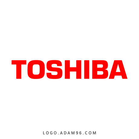 khdm-aamlaaa-thlagat-toshyba-aldlngat-01093055835-big-0