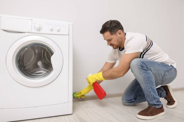 syan-ghsalat-aydyal-fy-asyot-01100786152-big-0