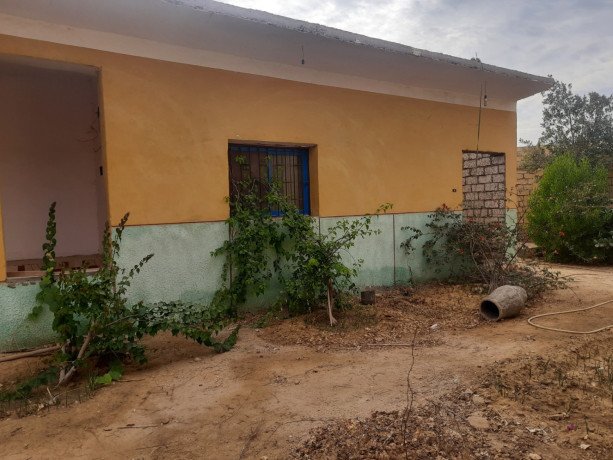 msnaa-athath-o-mobylba-llbyaa-balmnya-big-2