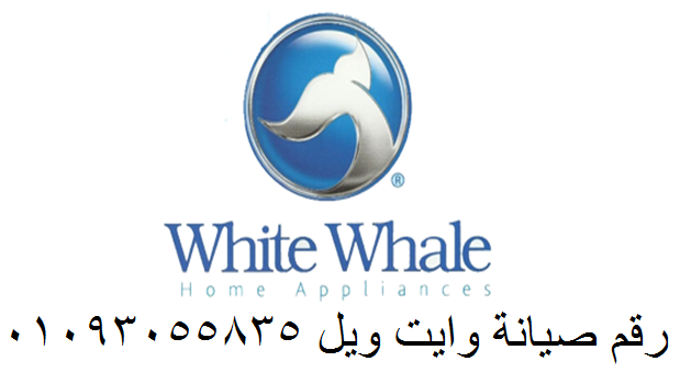 rkm-syan-thlagat-oayt-oyl-alasraa-fy-msr-atsly-oastryhy-alkahr-algdyd-01220261030-big-0